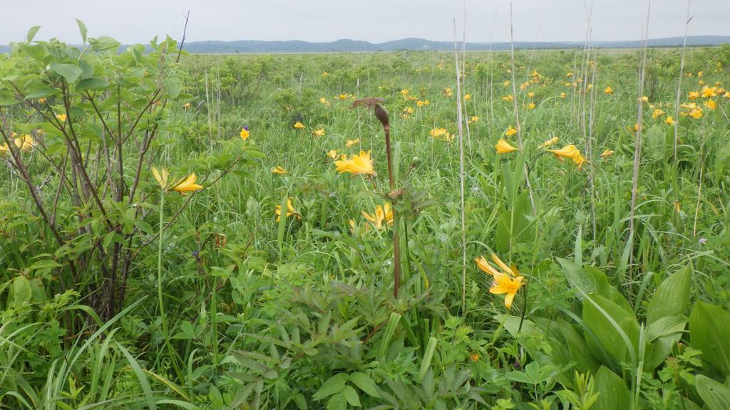 Kiritappuri Guest House Hokkaido Ngoại thất bức ảnh