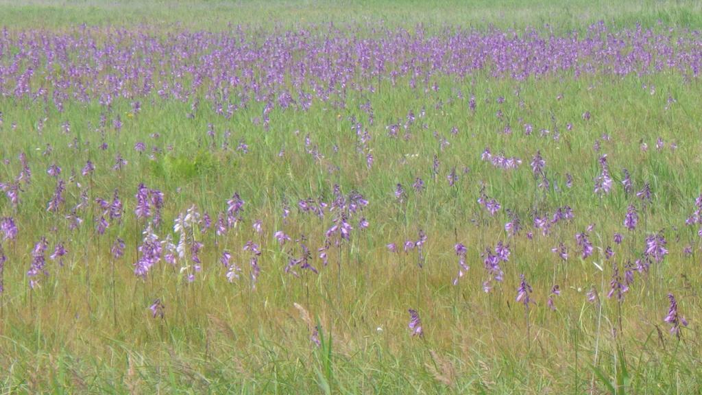 Kiritappuri Guest House Hokkaido Ngoại thất bức ảnh