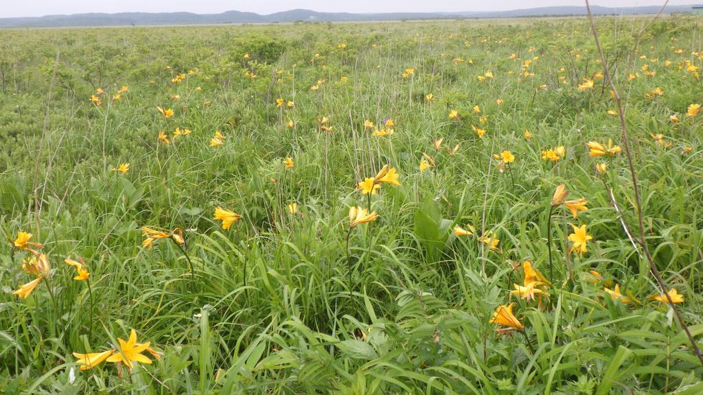 Kiritappuri Guest House Hokkaido Ngoại thất bức ảnh